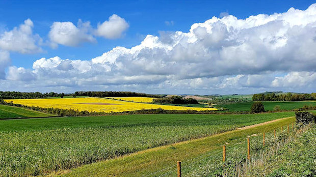 landscape